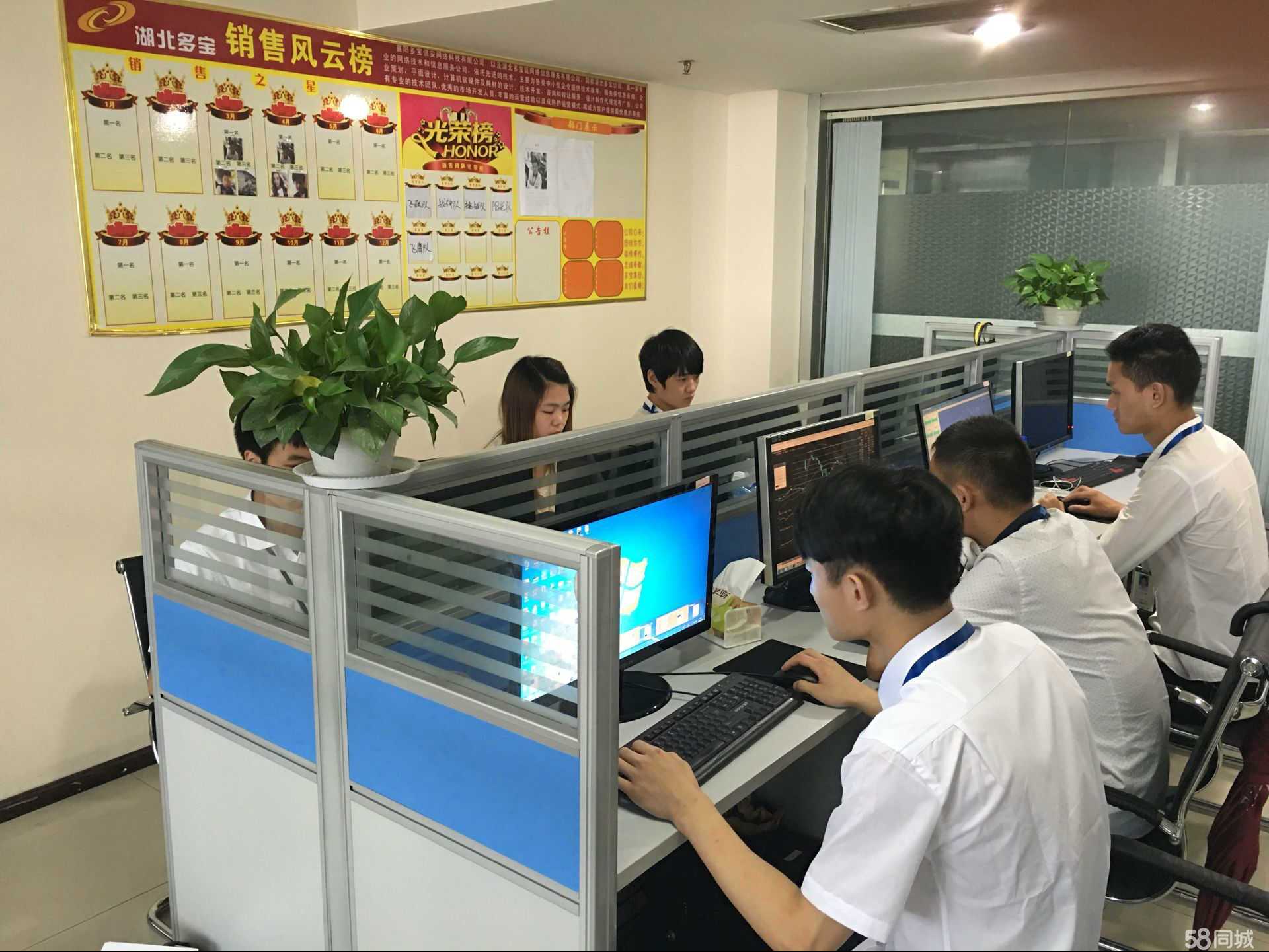 湖北多寶延網絡信息服務 深耕網絡服務，護航數字化轉型